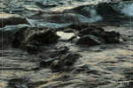 DSC_1385-p
