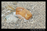 DSC_1628-p