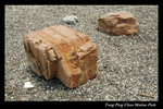 DSC_1629-p