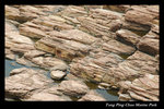 DSC_1656-p