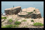 DSC_1667-p