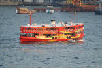 DSC_9012-p