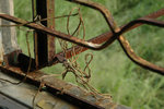 DSC_4711-p