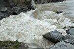 DSC_3096-p