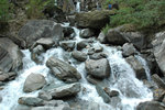 DSC_3105-p