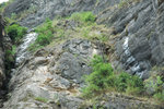 DSC_3121-p