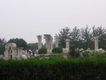 SANY0031