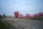 L1006173