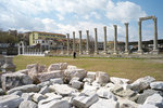 L1003958