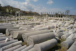 L1003960