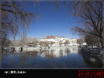 IMG_3822-01t