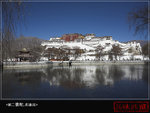 IMG_3825-01
