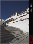 IMG_3842-01