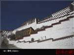 IMG_3845-01