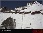 IMG_3846-01