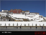 IMG_4153-01