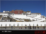 IMG_4155-01