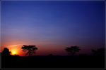 DPP_0004