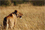 DPP_0022