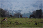 DPP_0031