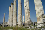 L1004886