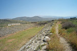 L1004896