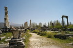 L1004919