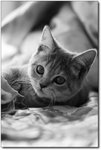 CRW_4701