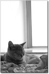 CRW_4717