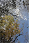 IMG_0551-01