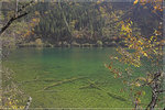 IMG_0556-01