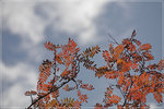 IMG_0560-01