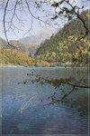 IMG_0623-01