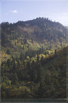 IMG_0630-01