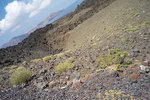 L1011908