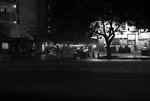 L1000334