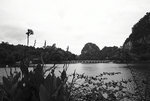 L1000441
