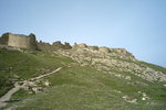 L1006909