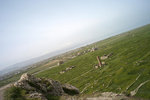 L1006920