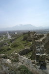 L1006989