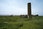 L1007041