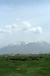 L1007055