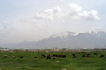 L1007057