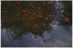 CRW_0022-01