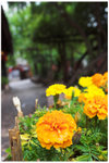 CRW_0025-01