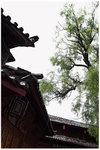 CRW_0028-01