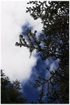CRW_9236-01