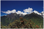 CRW_9299-01
