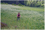 CRW_9365-01
