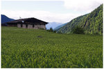 CRW_9366-01